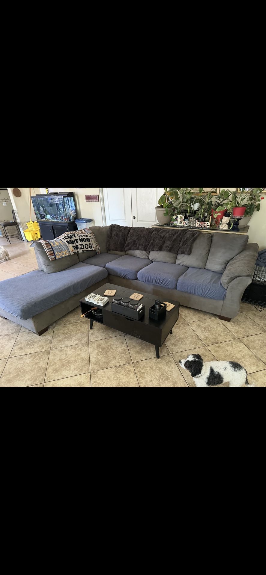 grey sectional