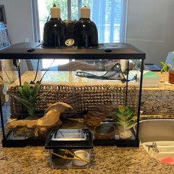 20 Gallon Terrarium  L 24 Inches. W 12.5 Inches