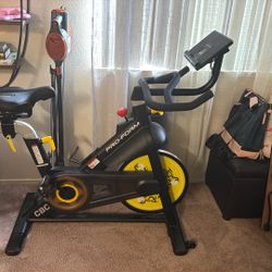 Pro Form Bike