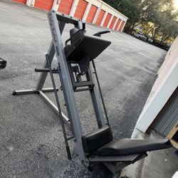 Leg Press / Hack Squat