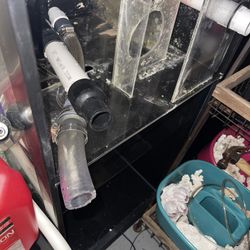 40 Gallon Sump Tank Saltwater Aquarium