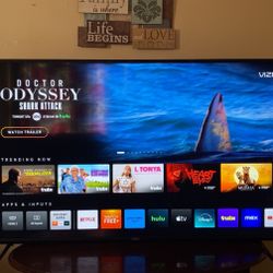 65in Vizio Smart Tv