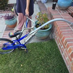 Trek Mountain Train Bike Tagalong