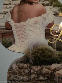 Stunning Butterfly Themed Quinceañera Gown