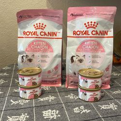 Kitten Food ( Royal Canin ) 