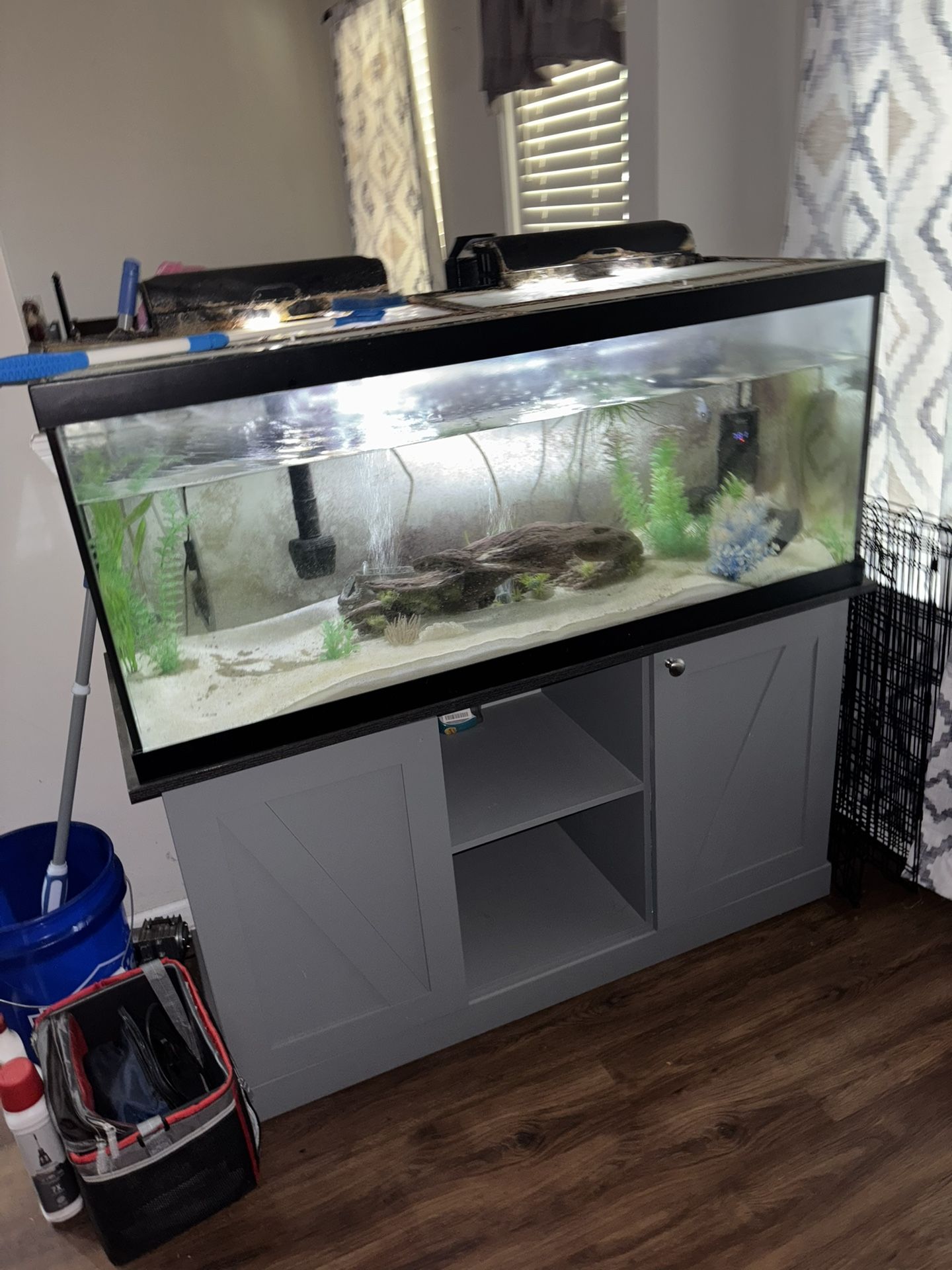 Fish Tank