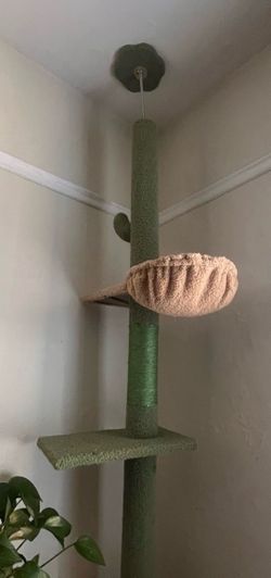 Ceiling tall climbing cat tree