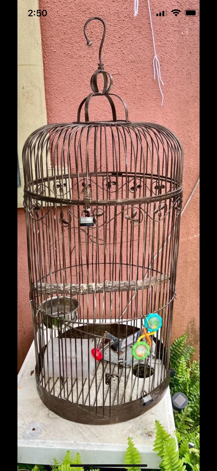Jaula De Cotorra Buenas Conditions