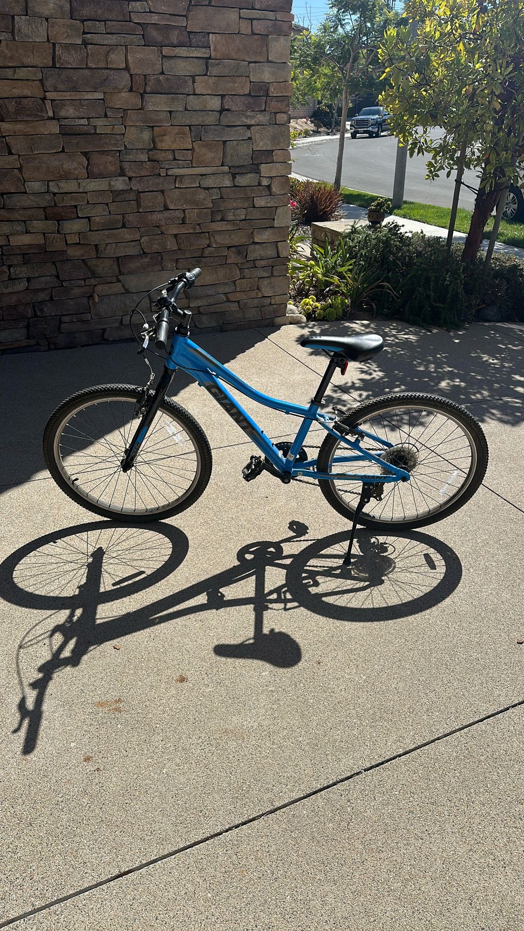 GIANT Bike