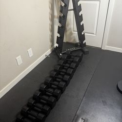 Olympic  Dumbbells 💪 