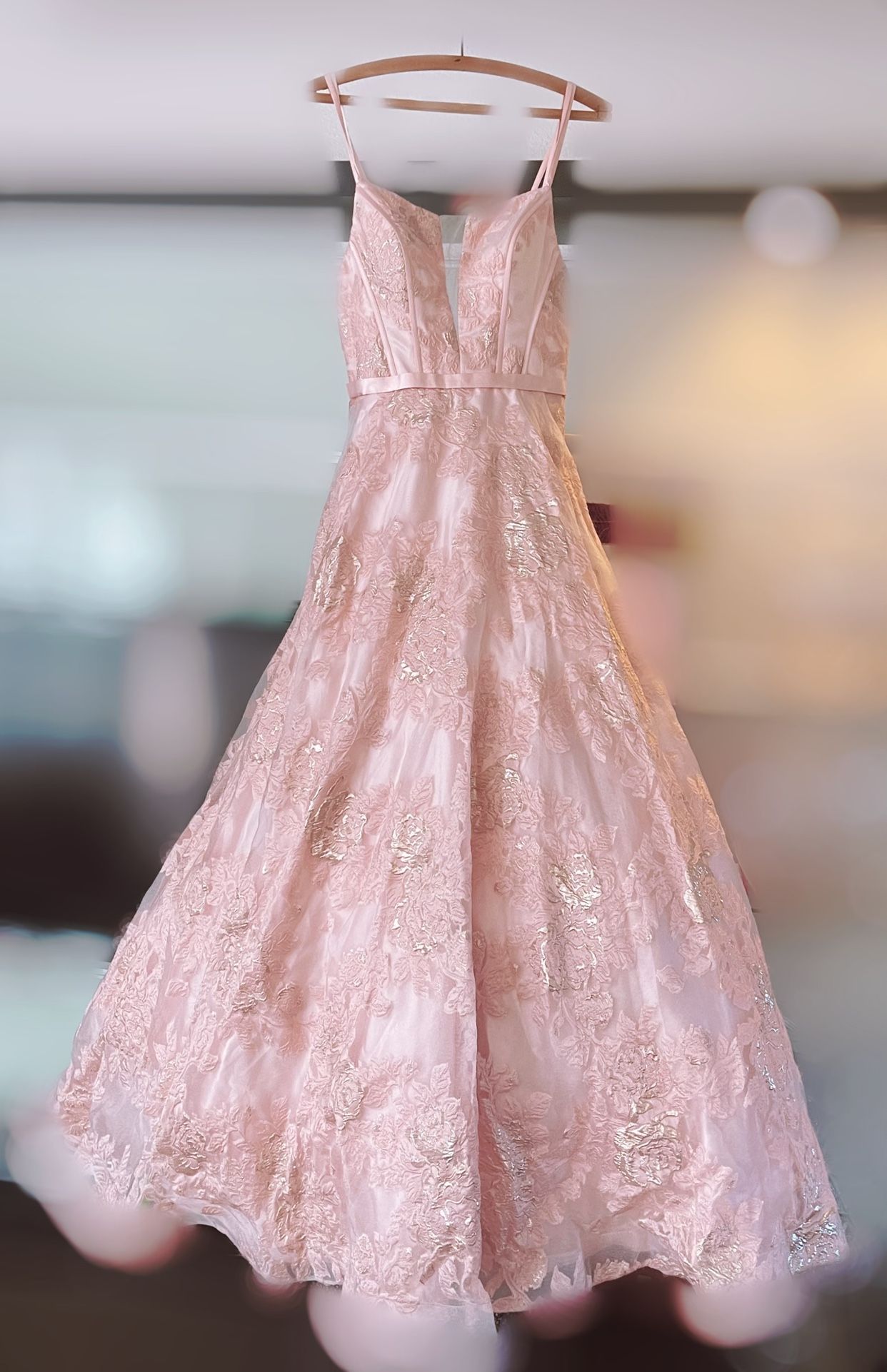 Camille ball Gown/Evening Prom Soft Pink With Pewter Accents