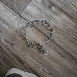 Xl Training Dog Collar 