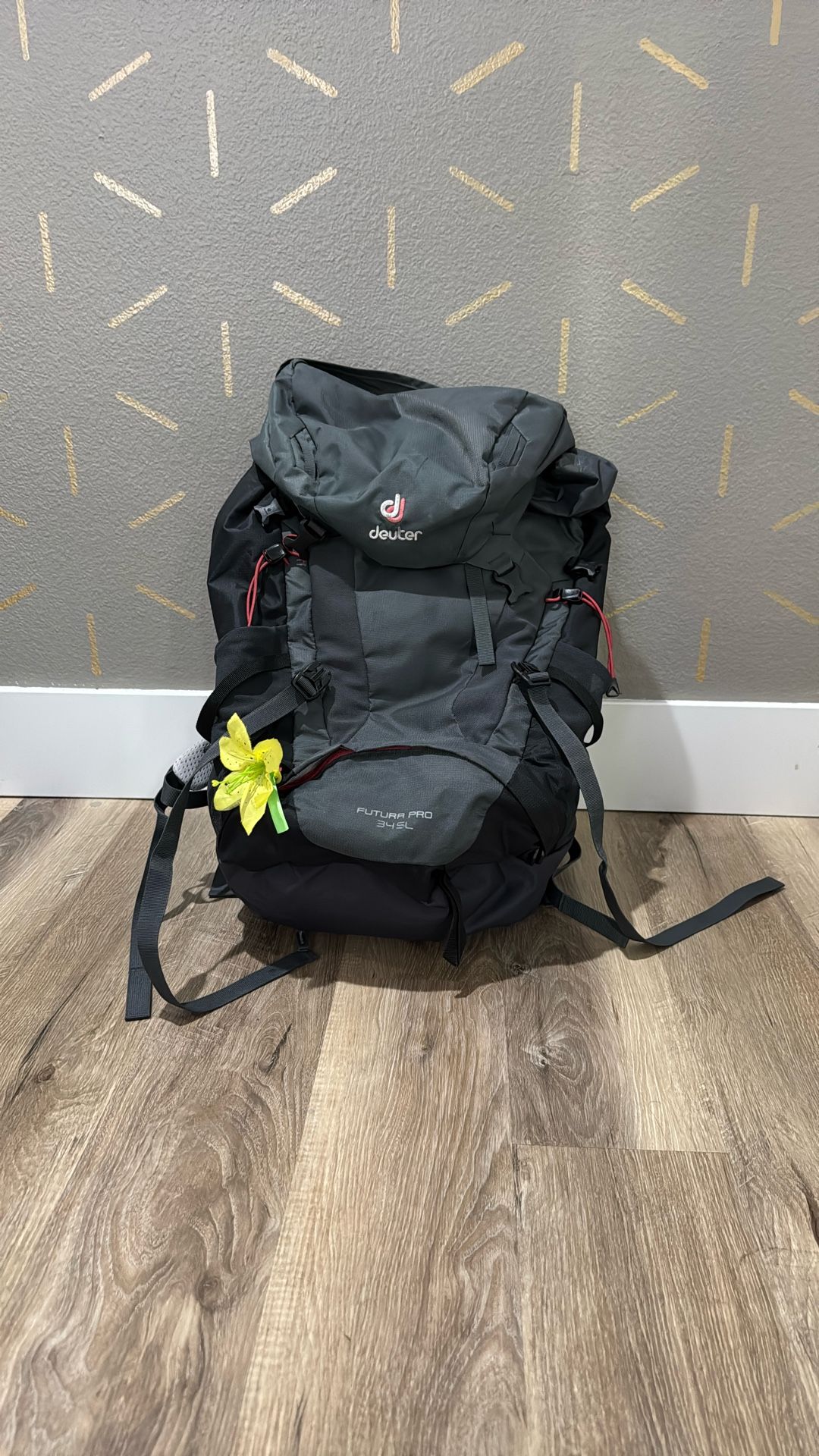 Deuter Backpack