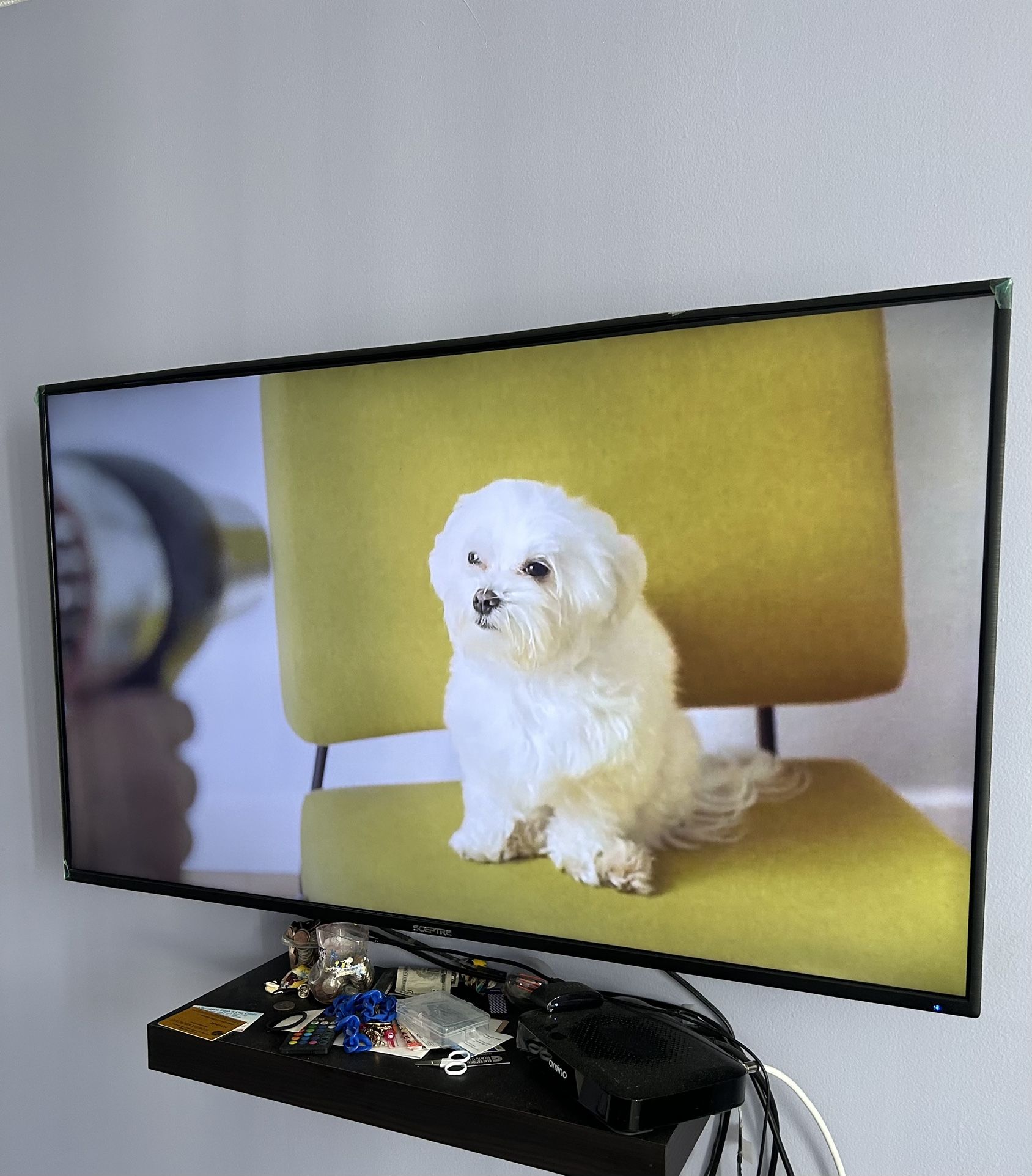 55” Roku TV