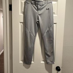 Boys Youth L Grey Baseball Pant Like New