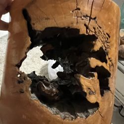 Turned Burl Wood “Natural Void Vessel”