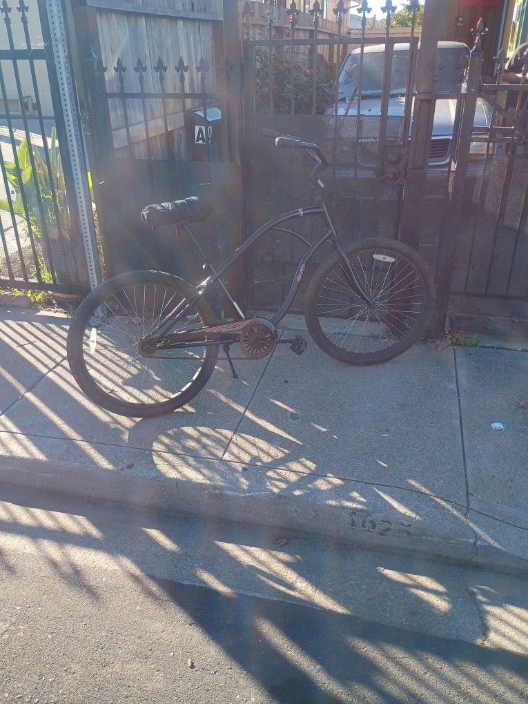 Evo Palmetto Beach Cruiser