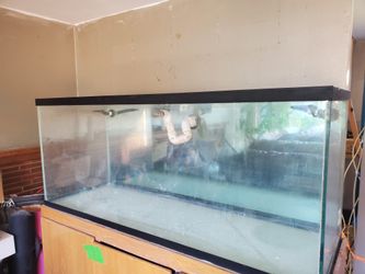 235 Gallon Tanks