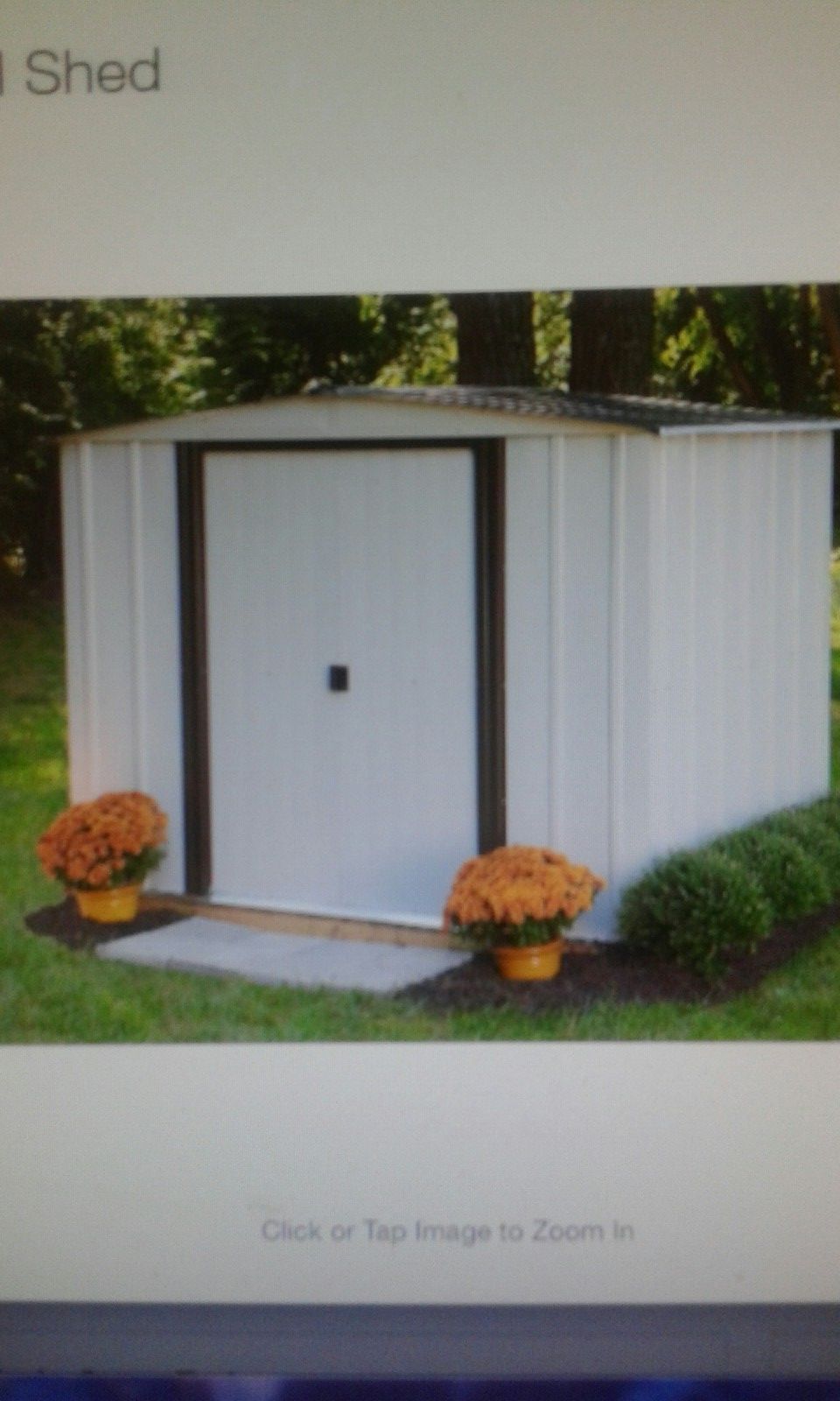 Newport 8ft. × 6ft. Steel shed