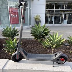 Electric Scooter For Sale