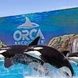 Seaworld Tickets $20 Each Includes Parking 