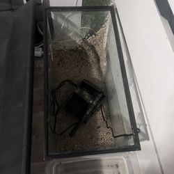 fish tank and filter