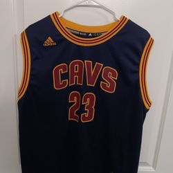 Men's LeBron James Adidas Cleveland Cavaliers Basketball Jersey 