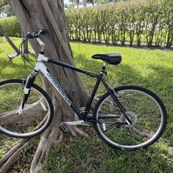 Diamondback Edgewood XL Hybrid Bike