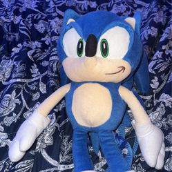 Sonic small backpack