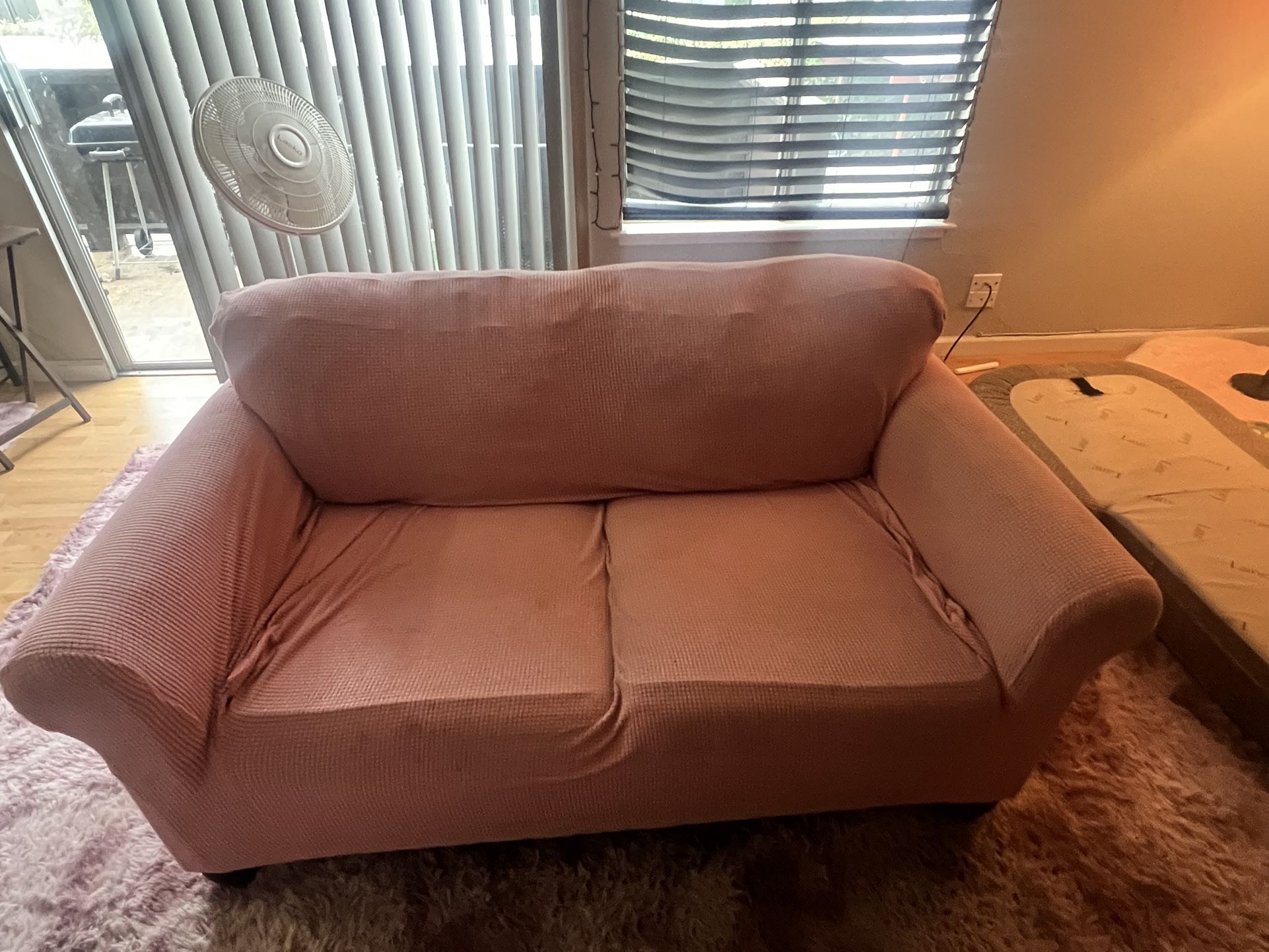 Two Seater Couch/Loveseat