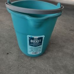 Bucket New Was$4. Reduced To $3.00 In Donna Inside The City. 