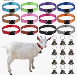 Dwarf Goat Collars 