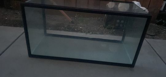 Turtle tank