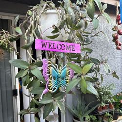 Plants Anger 25 Each 