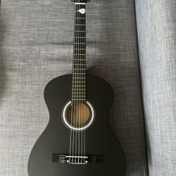 Acoustic Guitar 