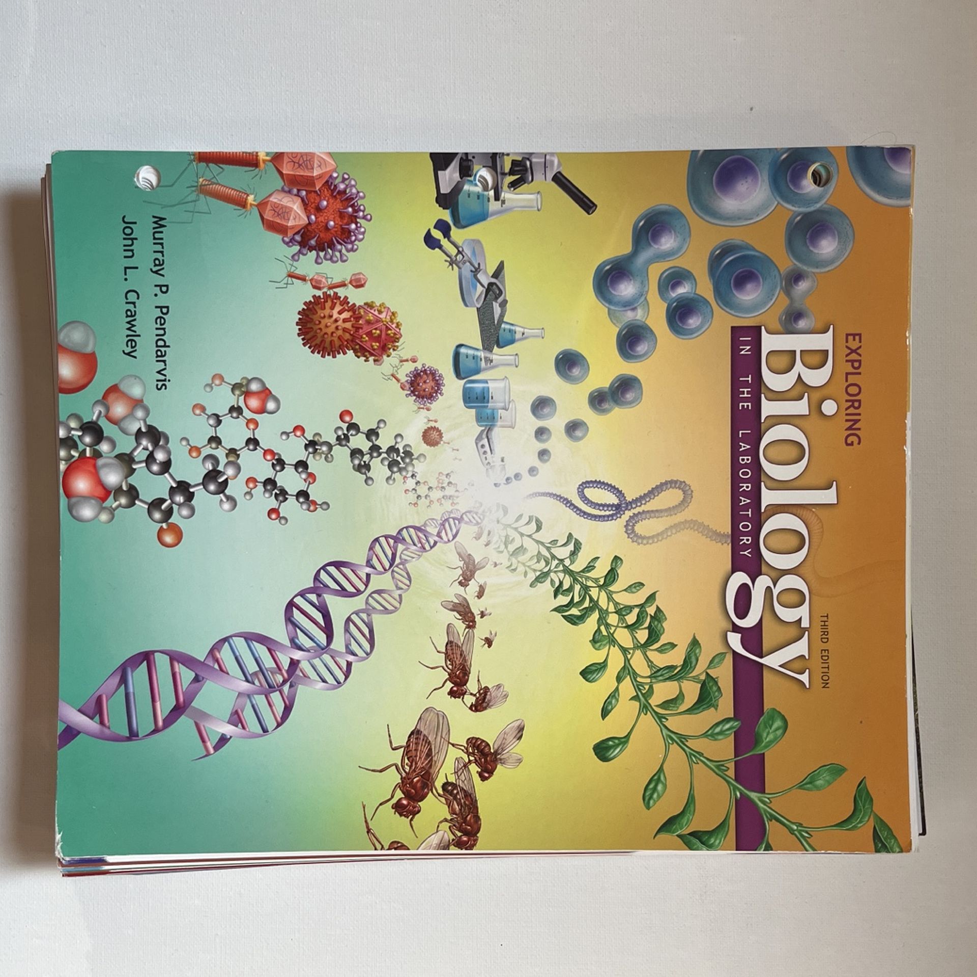 Exploring Biology In The Laboratory 3rd Edition