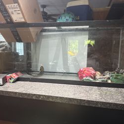 Tank