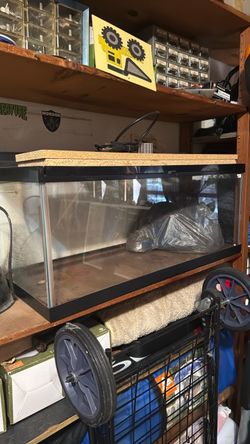 20 Gallon Tank
