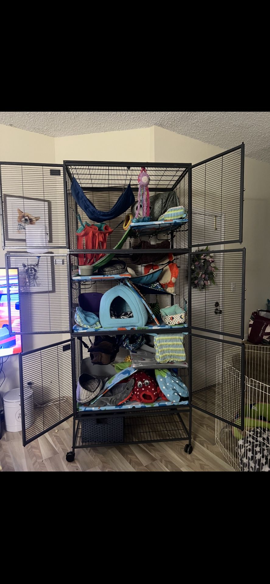 Triple Level Critter Nation Ferret Cage