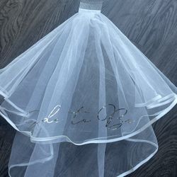 Bride To Be Veil