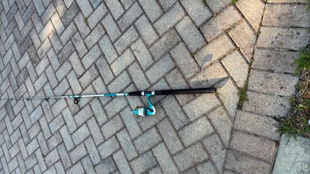 Spinning Fishing Rod and Reel Combo