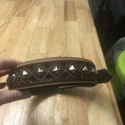 Dog Collar Size 2 X