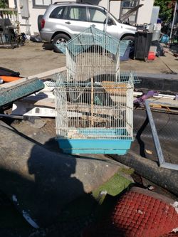 Bird Cage