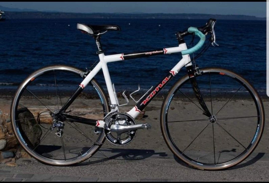 Kona Zing Deluxe 53cm Full Carbon Fiber Roadbike w/ Customizations