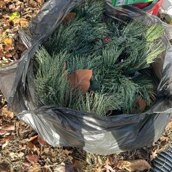 Garland Has Berries On It Over 25 Foot 