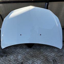 Chevy  Equinox Hood 