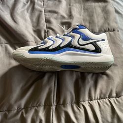 Kd 17 Penny white royal blue