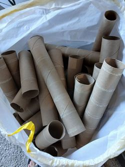 Empty cardboard  toilet paper and paper towel rolls for crafts