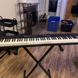 88- Key Piano Keyboard with stand & Carrying Case