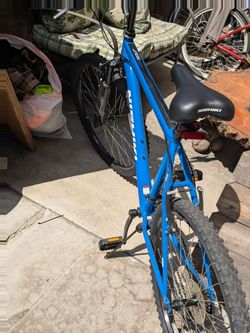 Nishiki Mountain Bike Blue
